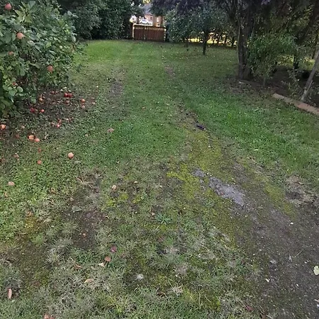 Gartenbungalow In Der Apartment *