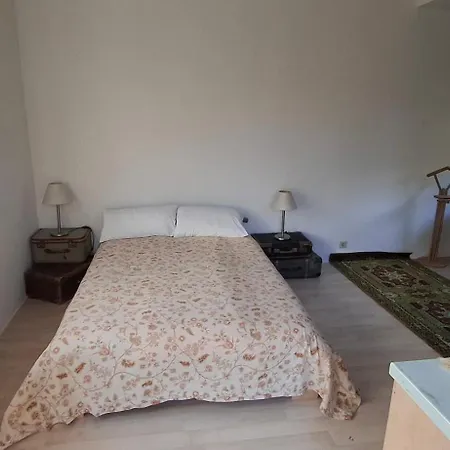 Gartenbungalow In Der